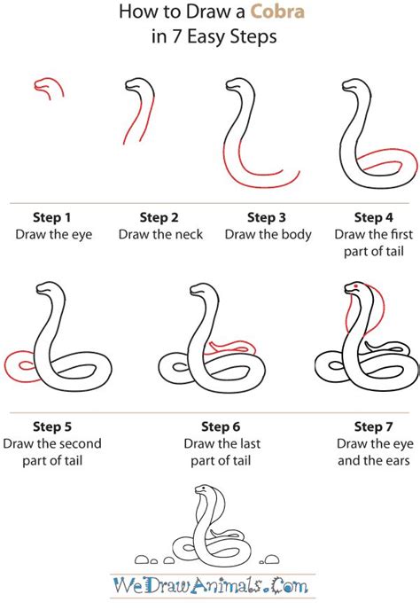 How to Draw a Cobra in 2022 | Snake drawing, Nature art drawings, Snake ...