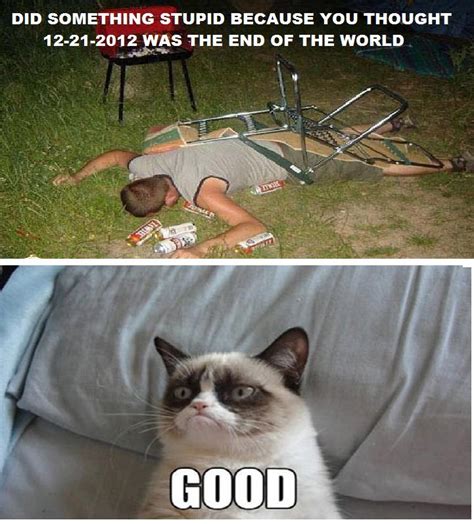 Grumpy Cat: The End of the World