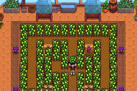 Stardew Valley Greenhouse: 16 Best Crops to Grow