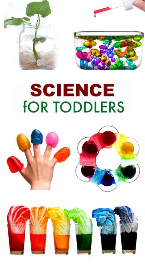 Science for Kids | Science for kids, Science for toddlers, Crafts for kids