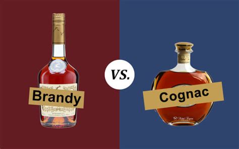 Cognac vs. Brandy: They Are NOT the Same Thing! 5 Differences