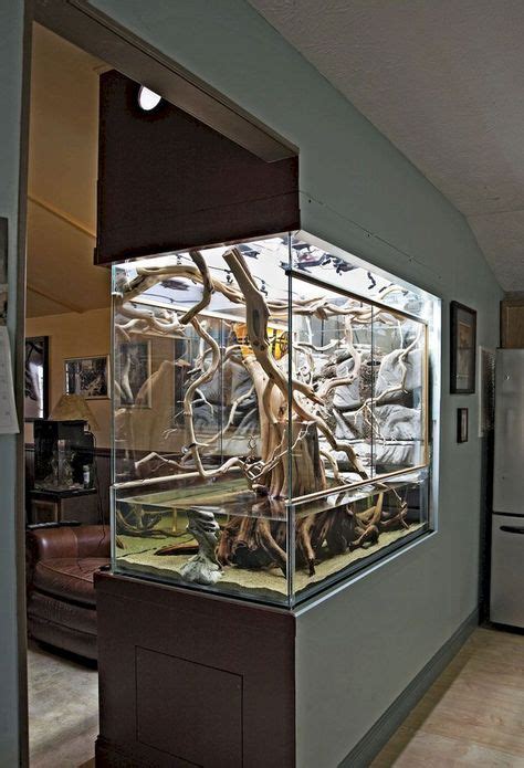 190 Snake terrarium ideas | snake terrarium, reptile room, terrarium