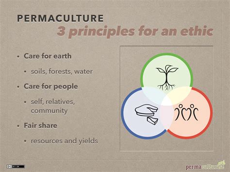 Introduction to permaculture | permaculturist.org