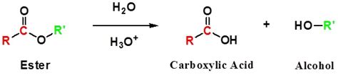 Acid-Catalyzed Ester Hydrolysis and Transesterification - Chemistry LibreTexts