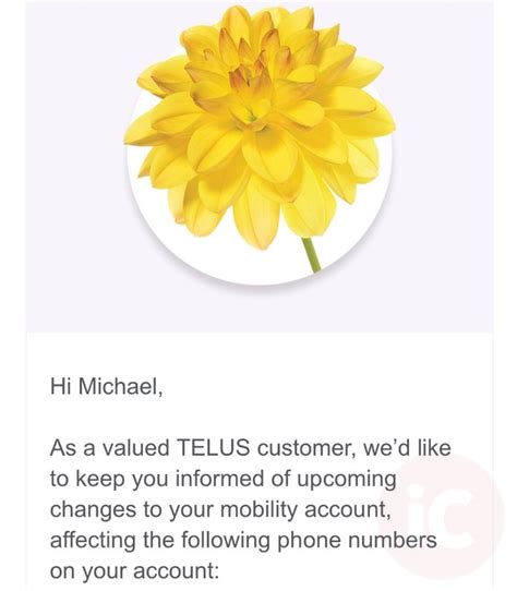 Telus Price Increase Coming for Customers on Older Unlimited Plans • iPhone in Canada Blog