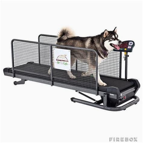 Awesome Dog Product - Professional Treadmill Animal Land - Pet Movers