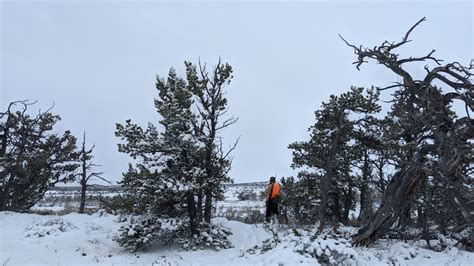 How do public lands benefit Montana schools?