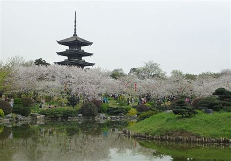 East Lake Park Wuhan