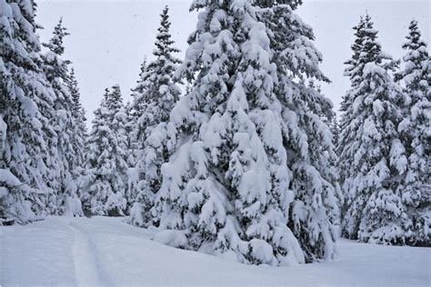 5 Reasons to Visit Alaska In the Winter