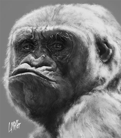 Gorilla Portrait by TheLoganMiller on DeviantArt