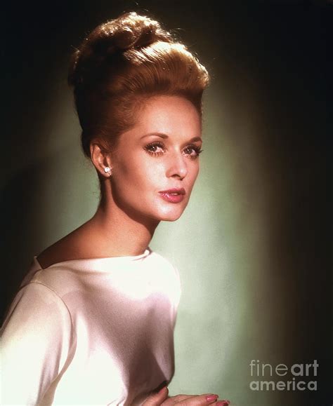 Portrait Of Tippi Hedren by Bettmann