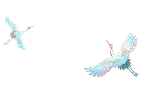 Crane White Crane Bird, Crane, White Crane, Birds PNG Transparent Clipart Image and PSD File for ...