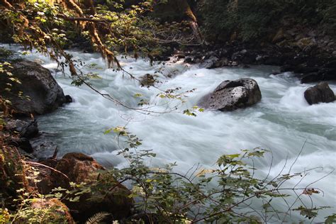 The Nooksack River: A Treasure to Preserve | Whatcom Watch Online