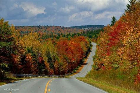 Fall Colors in WV | West virginia, Country roads take me home, Virginia