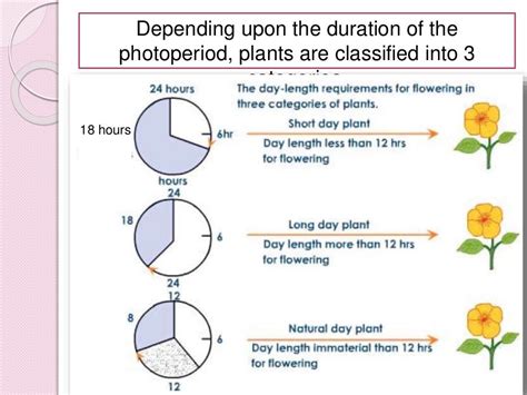 Physiology of flowering, photoperiodism