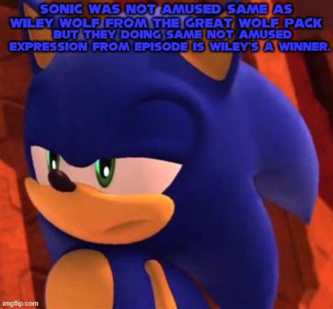 Sonic the Hedgehog is Not Amused meme by SonicisCool2023 on DeviantArt