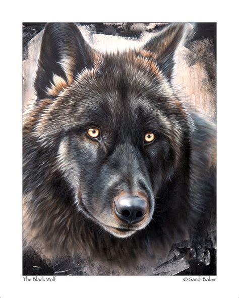 Black Wolf Art Print the Black Wolf © Sandi Baker - Etsy