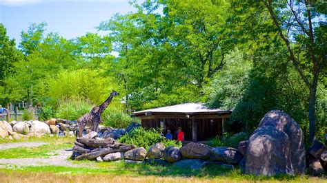 Roger Williams Park Zoo Pictures: View Photos & Images of Roger Williams Park Zoo