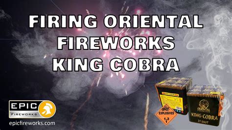 Firing King Cobra by Oriental/Epic Fireworks. (UK Landed Footage) - YouTube