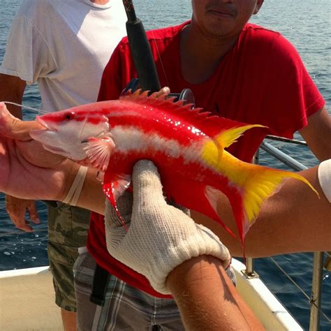Orange Beach Fishing: Red Fish Fishing In Orange Beach, Alabama