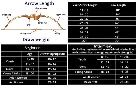 For bow hunter share some information about arrow length draw weight begginer and intermidiate ...