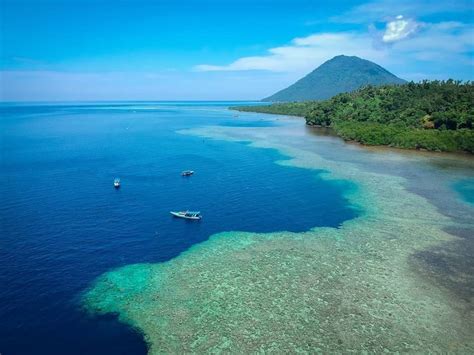 Manado Diving: 4D3N Dive Package