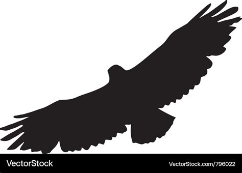 Black silhouette buzzard Royalty Free Vector Image