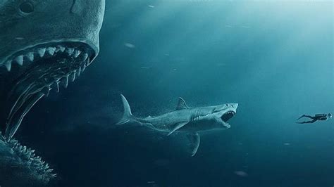 Ver Megalodon / The Meg 2018 pelicula gratis online para descargar mega ...