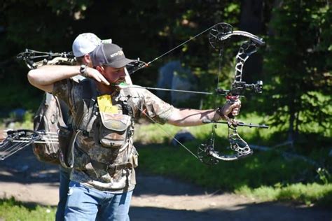 Best Compound Bows for Hunting - Gun News Daily Zero In On Your Target