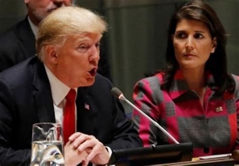 Haley Targets Trump's Affinity for Dictators during Final Sprint in New Hampshire - Other Media ...