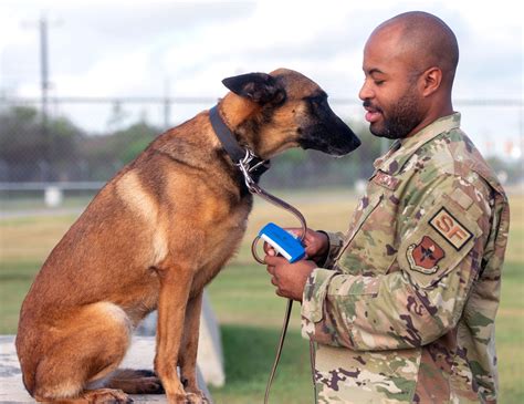 Military Working Dogs: JBSA’s four-legged defenders > Air Education and Training Command ...