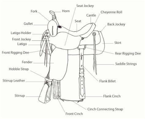 Saddle Fit and Parts of Western and English Saddles