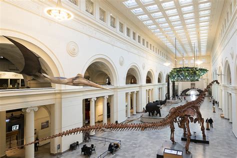 Dinosaurs and birds and bones, oh my: The Field Museum reopens – The Columbia Chronicle