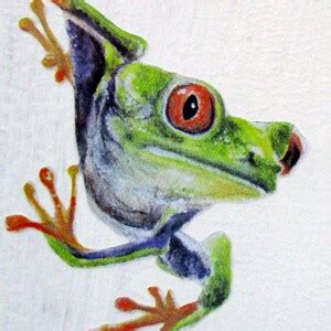 Frog Wall Stickers Frog Decals Frog Wall Decor Tree Frog - Etsy