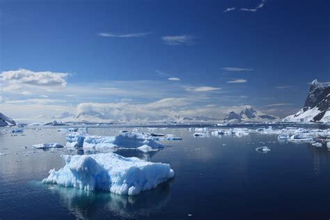 Icebergs Antarctica