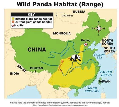 Maps | Pandas International