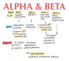 15 Best alpha and beta receptors images | Pharmacology, Pharmacology ...