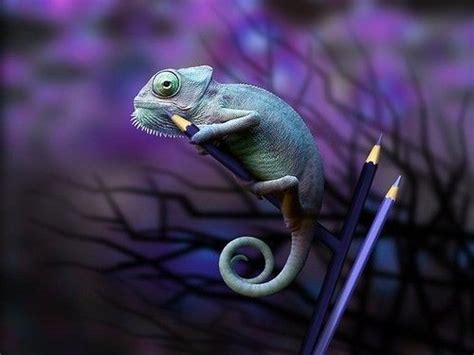 photography picture on VisualizeUs | Cute reptiles, Cute animals, Lizard