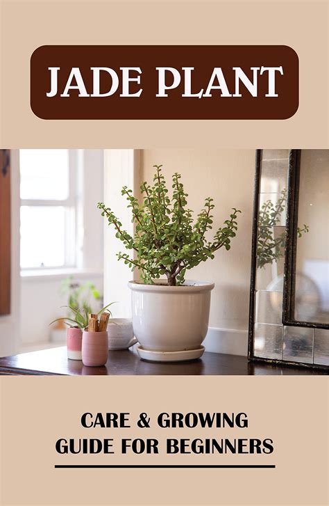 Jade Plant: Care & Growing Guide For Beginners: How To Take Care Of ...