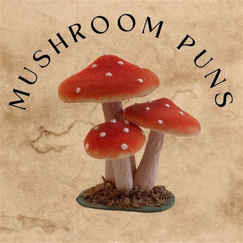 ️ 85 Mushroom Puns and Jokes to Make You Laugh - HMP