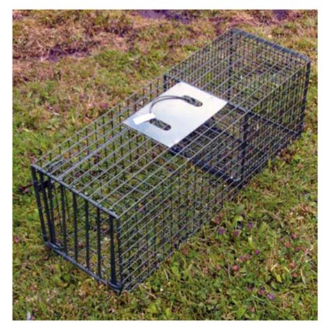 Duke Heavy Duty Single Entry Grey Squirrel, Mink & Rabbit Cage Trap ...