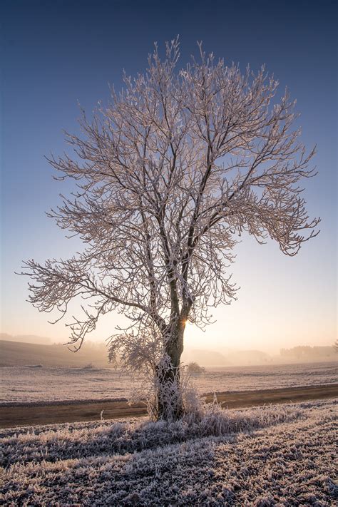 How to Photograph Winter Landscapes - Photography Life