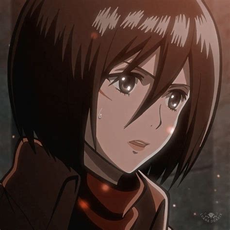 Icon Mikasa Ackerman | Anime, Shingeki no kyojin, Attack on titan