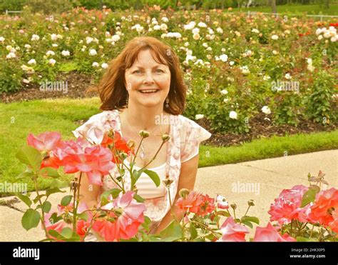 Lake Harriet Rose Garden with a pretty woman Stock Photo - Alamy