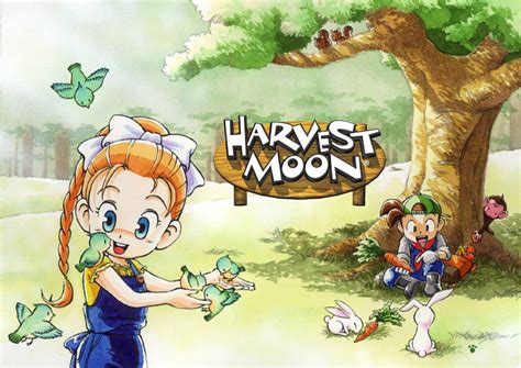 'Harvest Moon DS' Tips & Tricks - Moonieverse