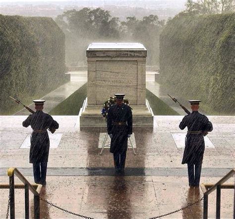 Photo of Honor Guards at Tomb of the Unknown Soldier Amid Storm Leaves ...