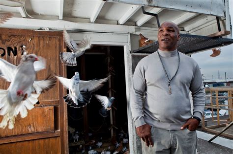 Mike Tyson: A boxer, pigeon keeper and performer who was once ...