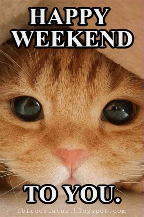 Funny & Happy Weekend Quotes With Memes Images Pictures | Happy weekend quotes, Happy saturday ...