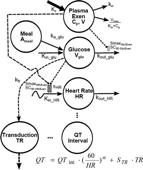 Pharmacokinetic and pharmacodynamic model diagram. Symbols and model... | Download Scientific ...