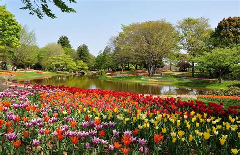 16 Must-See Flower Gardens Around Japan | tsunagu Japan